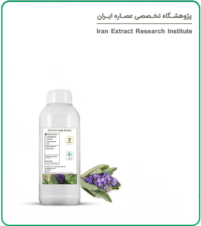 خواص انیسون برای بارداری