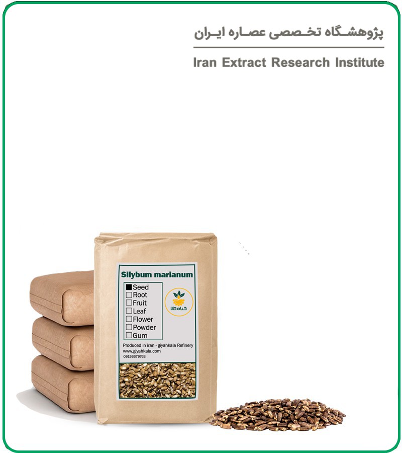 بذر خار مریم خشک فله