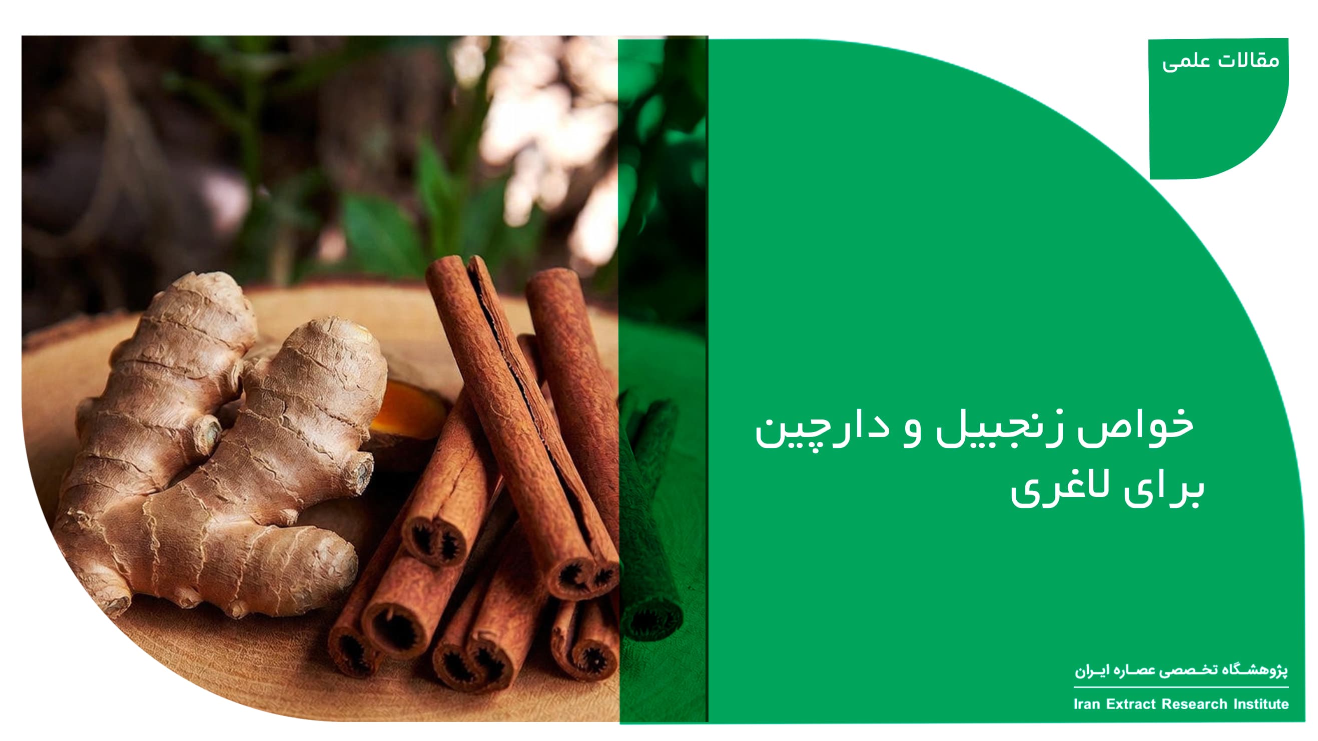 خواص زنجبیل و دارچین برای لاغری