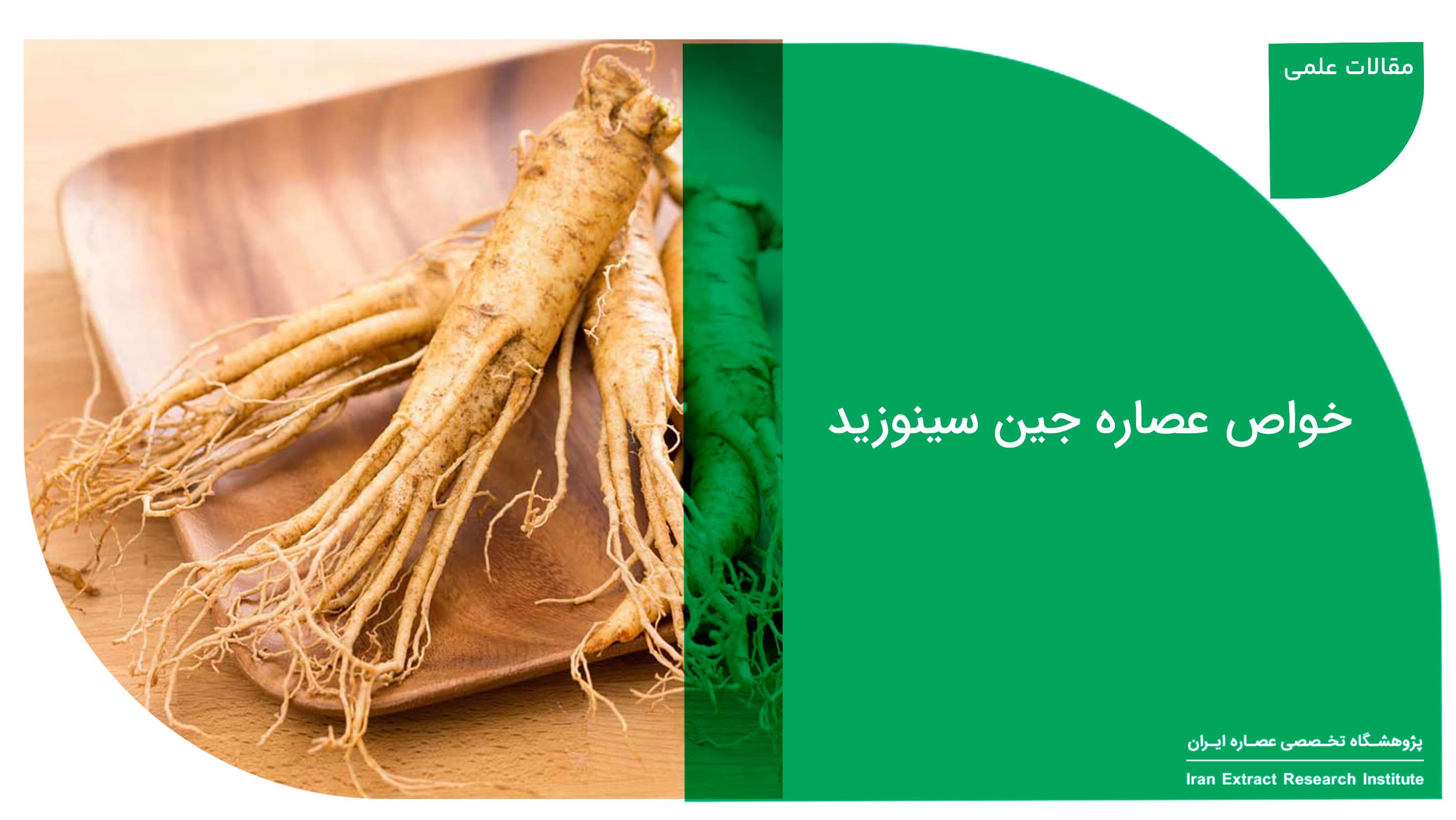 خواص عصاره جین سینوزید