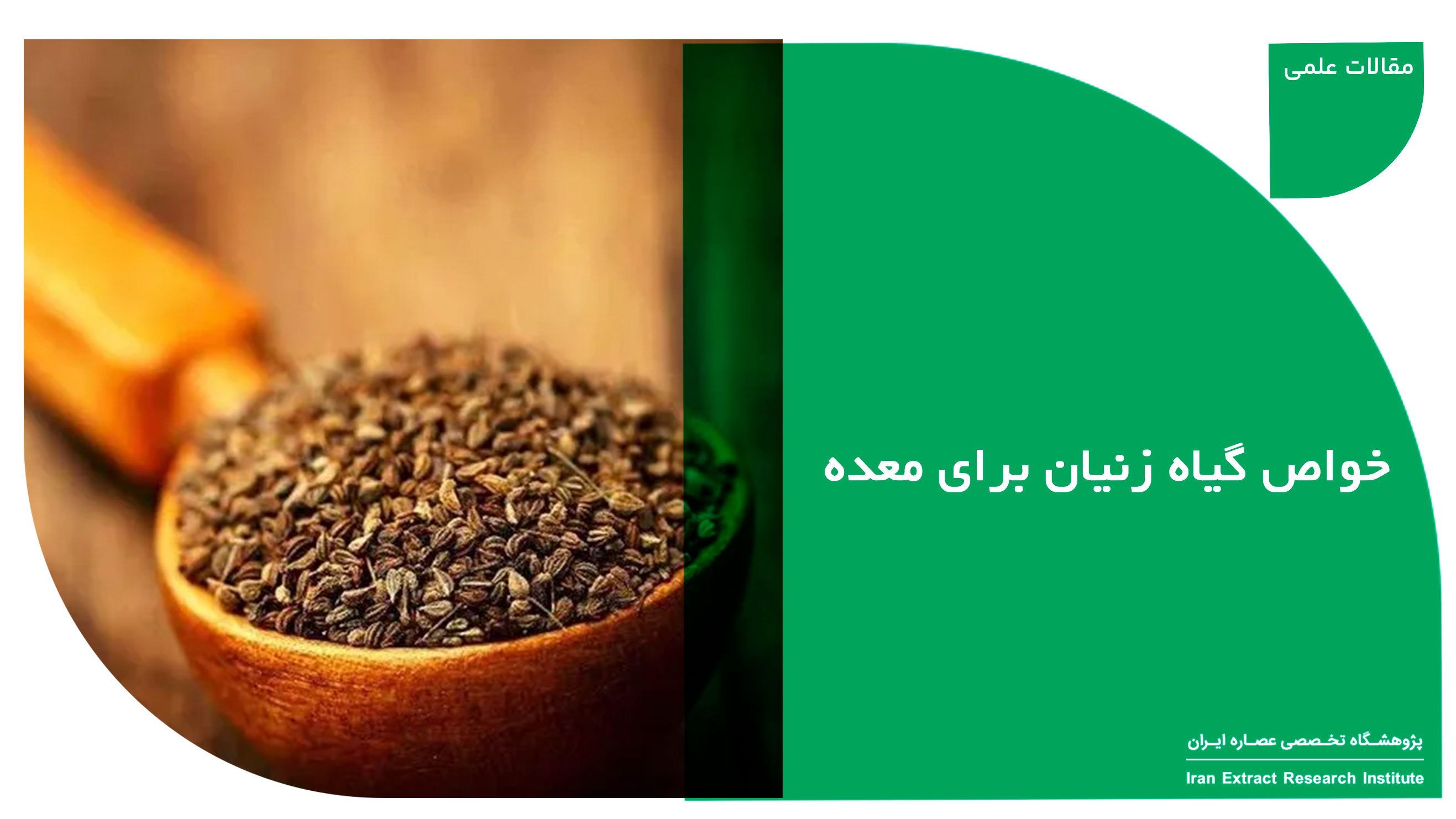 خواص گیاه زنیان برای معده