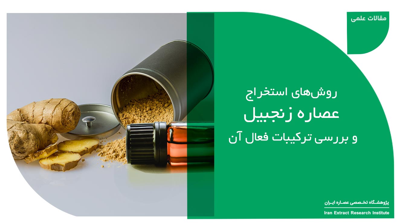 استخراج عصاره زنجبیل