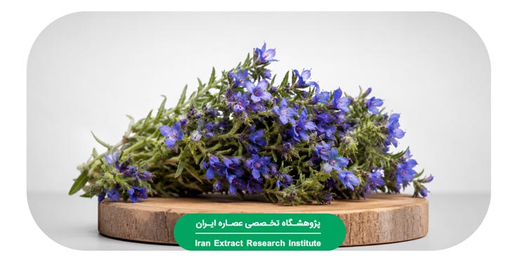 عصاره-گل‌گاوزبان1