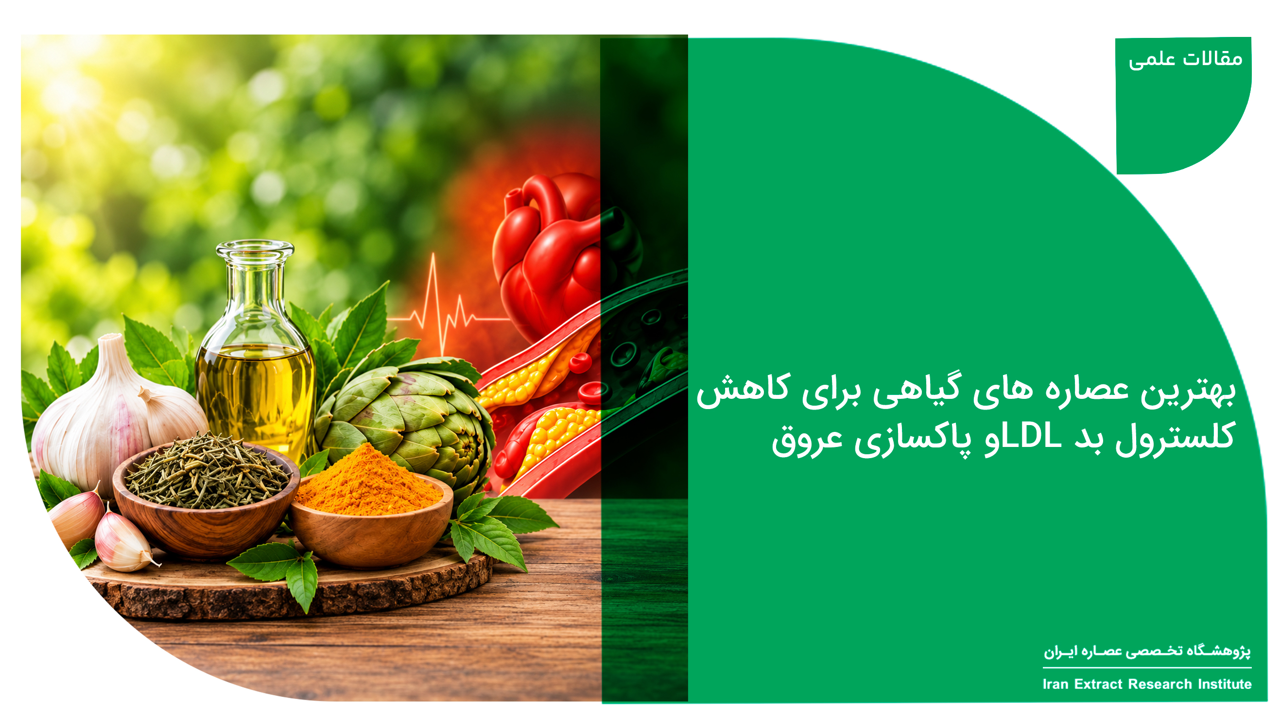 عصاره گیاهی برای کاهش کلسترول