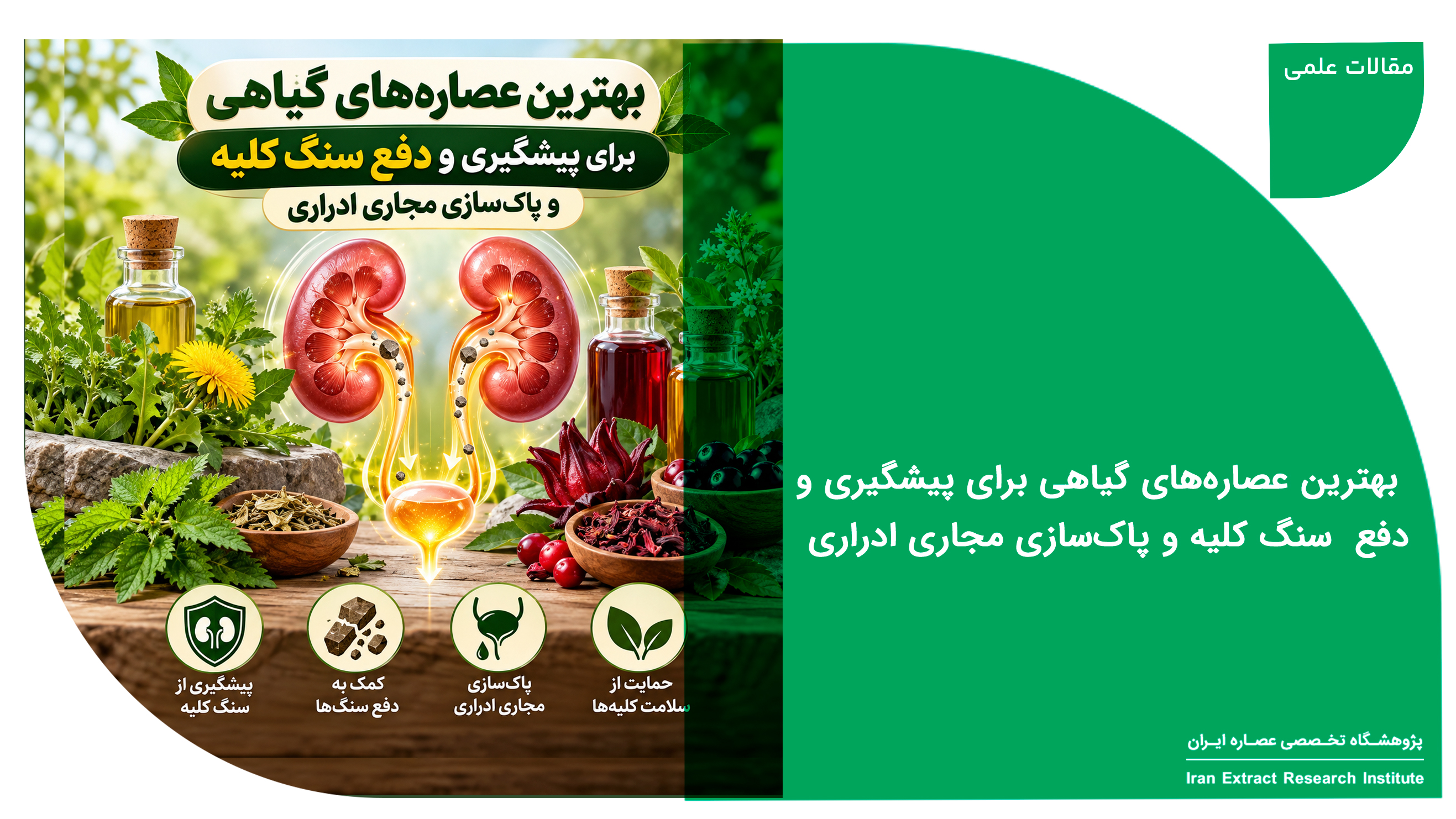 عصاره گیاهی برای سنگ کلیه