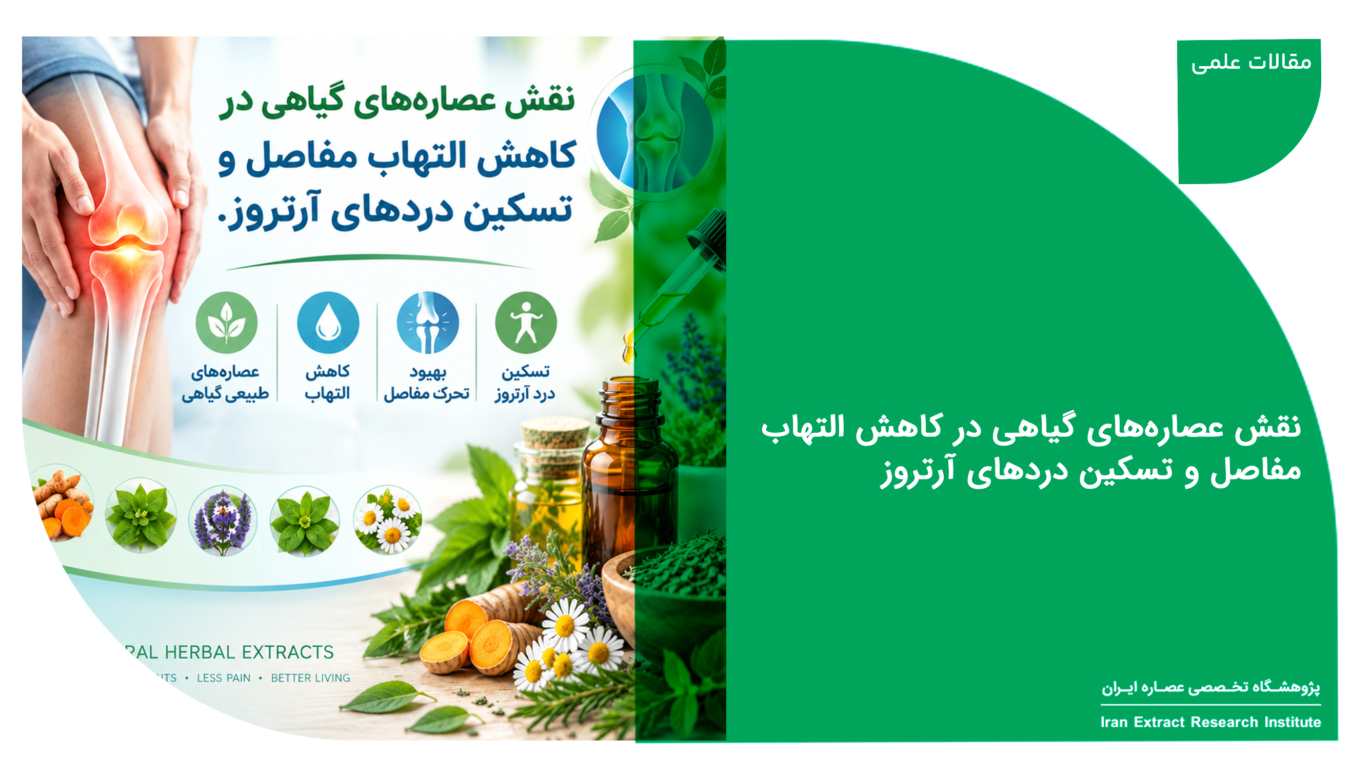 عصاره گیاهی برای درد مفاصل